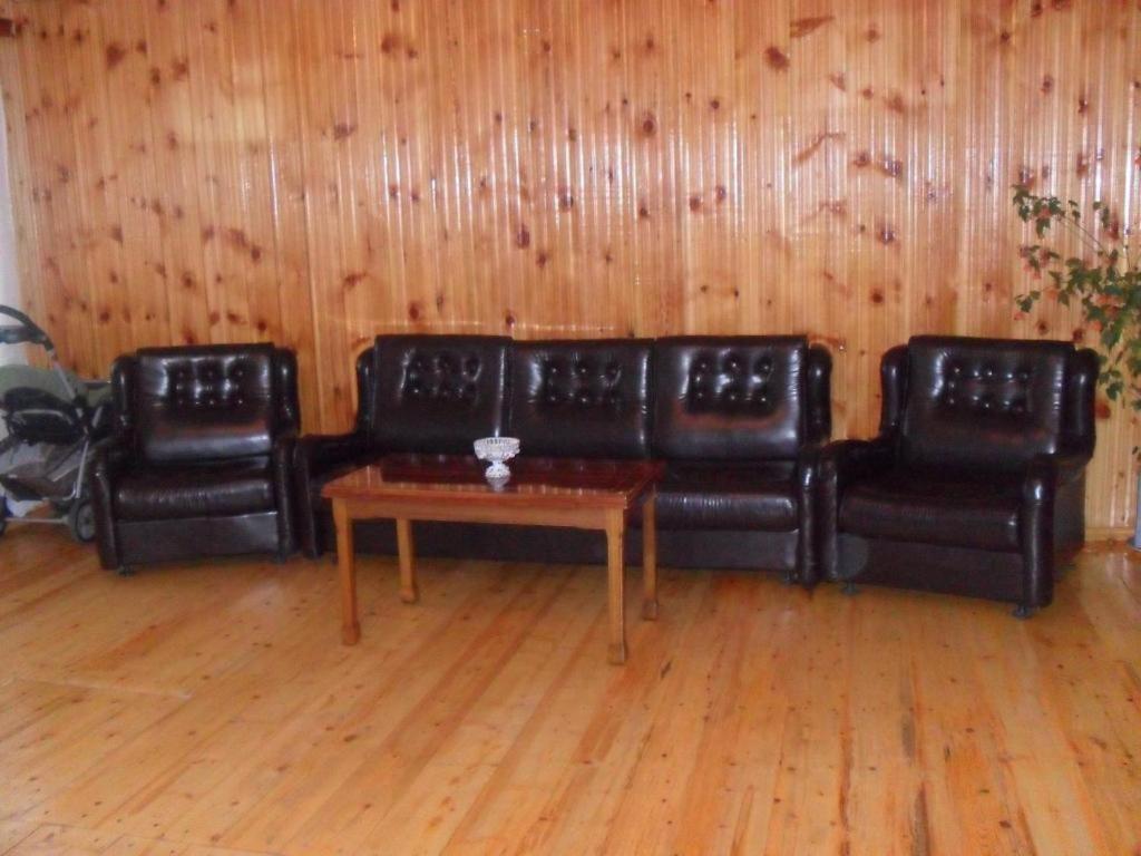 Guest House Vivaushba Bagvdanari Buitenkant foto