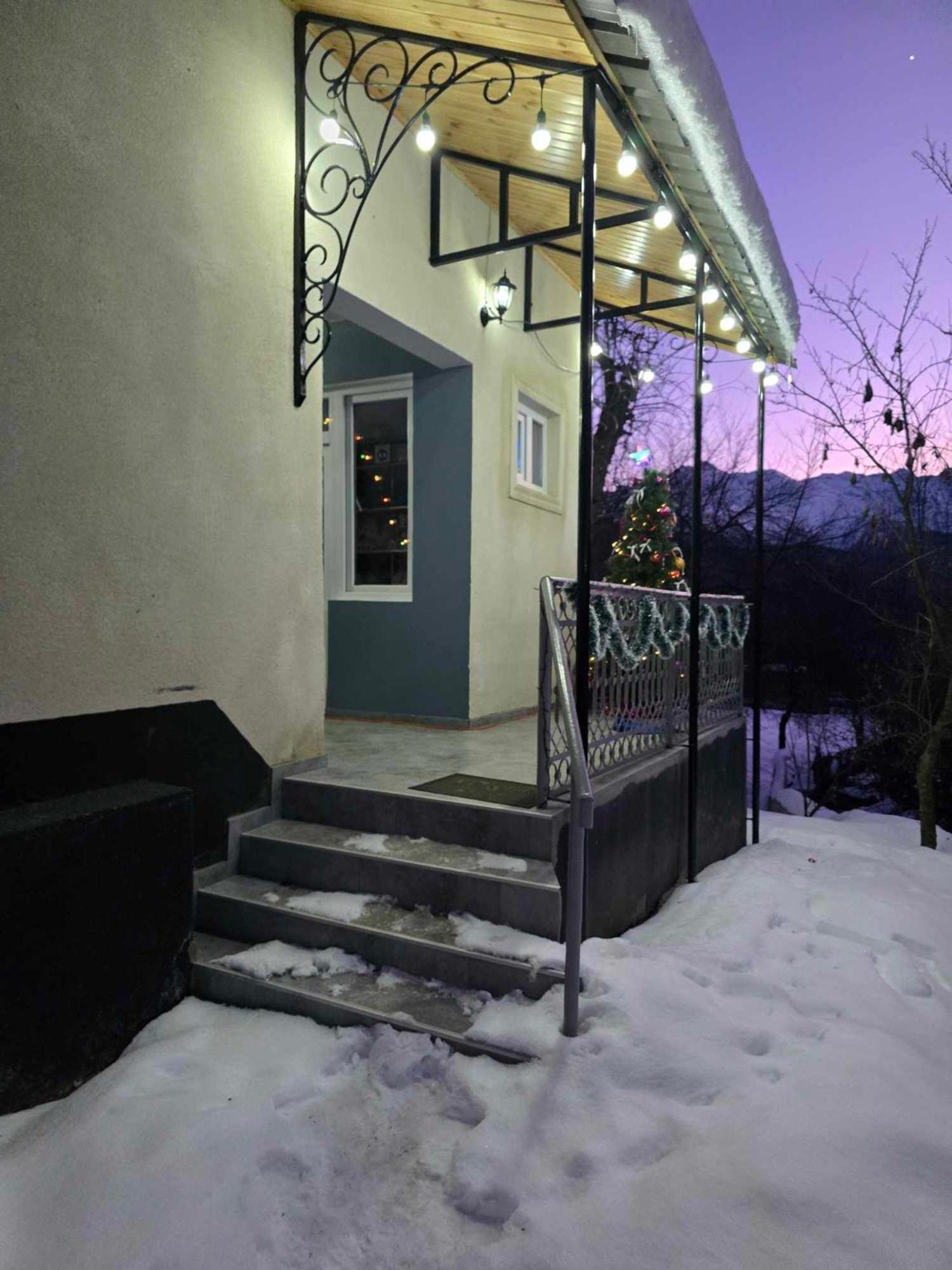 Guest House Vivaushba Bagvdanari Buitenkant foto