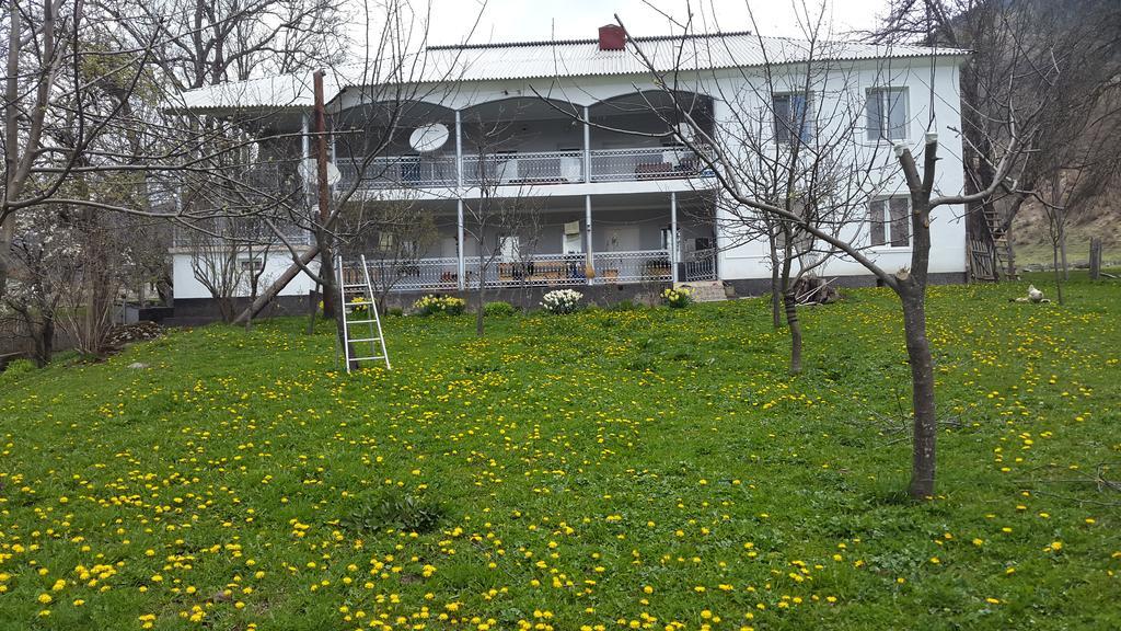 Guest House Vivaushba Bagvdanari Buitenkant foto